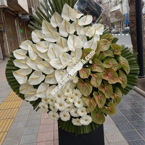 ۲۰۲۲۰۳۱۳_۱۵۵۴۳۶